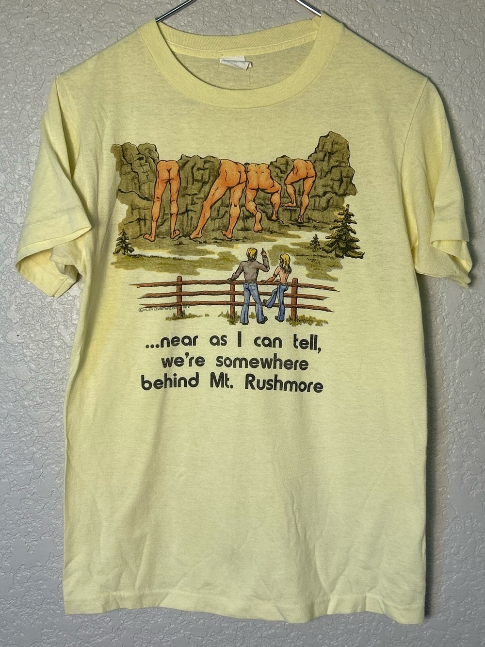 Vintage 1970s Behind Mount Rushmore Novelty Humor Graphic Tee Single Stitch